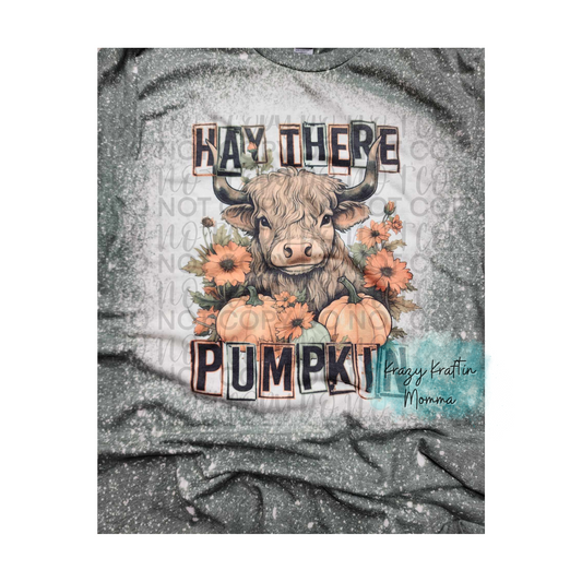 Highland Cow Hay there Pumpkin