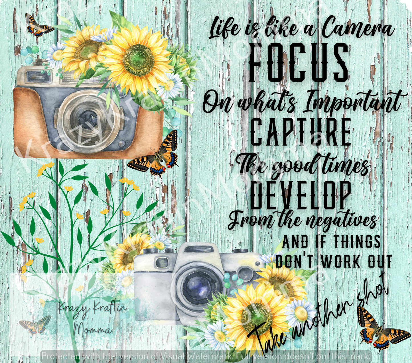 Life is like a Camera