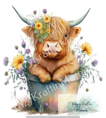 HIGHLAND COW IN POT